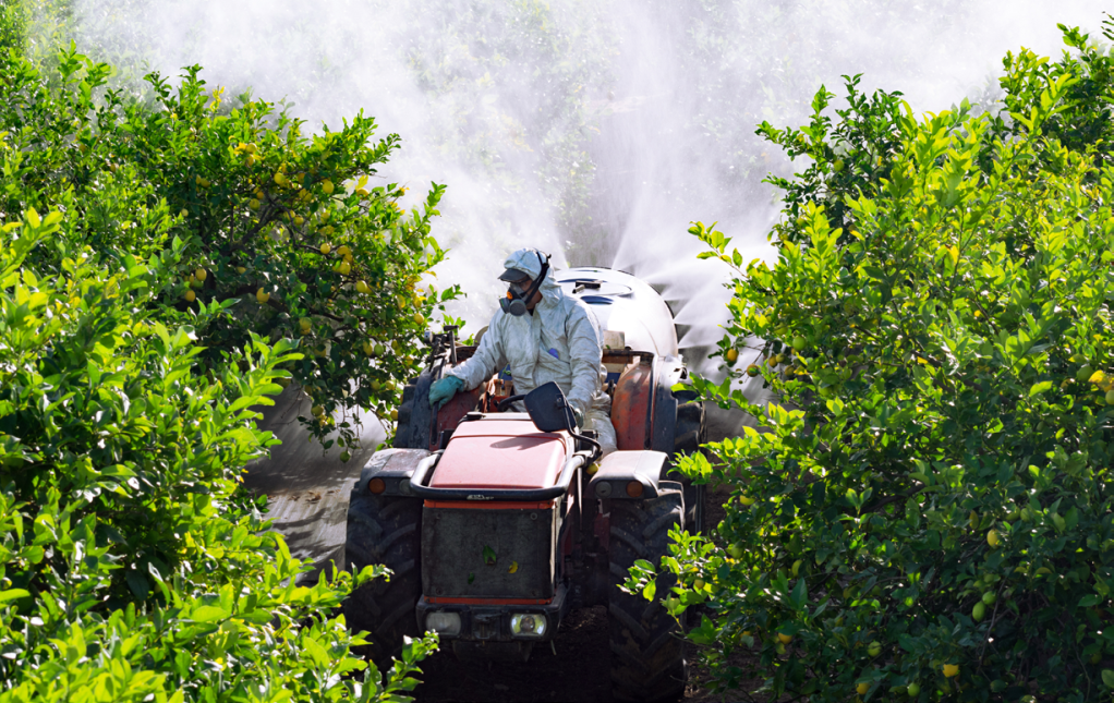 可变光程浸入式探头测量农达草甘膦的吸光度